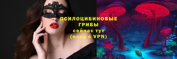 соль ск Алексин