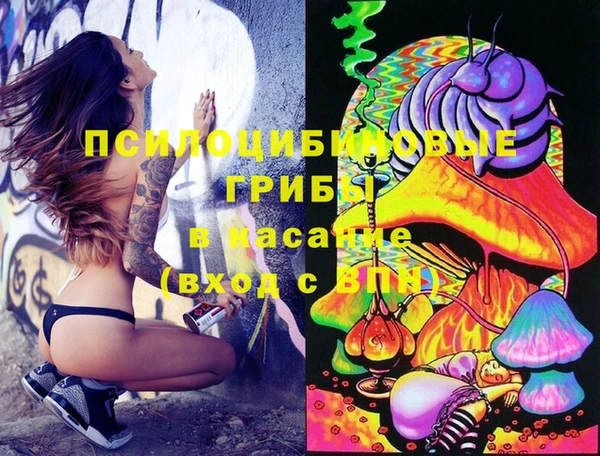 прущие грибы Алзамай