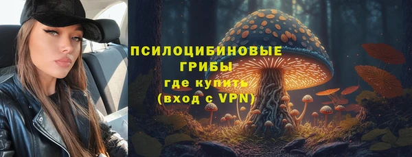 соль ск Алексин